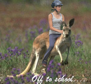 riding-kangaroos.jpg
